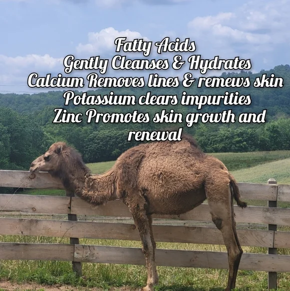 LIMITED QUANTITY Super Beauty Food Camel's Milk Soap - Picture 4 of 14